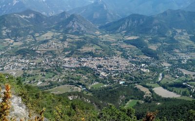 Oliver. Les oies sauvages