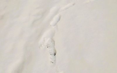 Calogero. Danser encore